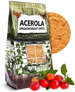 ACEROLA 100% PURE  POWDER 500g VITAMIN C BEST FOR LIPOSOMAL babafood produkt