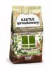 Cactus Powder Blend Opuntia 1000g Highest Quality and very Healthy