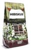 Hibiscus flower 1000g (Hibiscus rosa-sinensis) Dried flowers fruity aftertaste !
