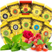 YERBA MATE SAMPLER 10 x 50g WEIGHT LOSS/NATURAL TEA x 10