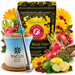 Yerba Mate Curupira Citron Boldo Clear Sky 500g