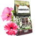 HIBISKUS - kwiat