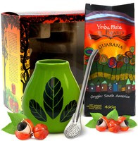Exclusive El Pajaro Guarana 400g boxed set + Bombilla Liza + Matero Hoja Green