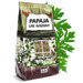PAPAJA liść suchy