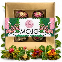 Zestaw w pudełku Exclusive Mate Green Frutas 200 g+ Bombilla Liza + Matero Hoja Green